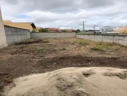 #TE3250_PAI - Terreno para Venda em Pindamonhangaba - SP - 3