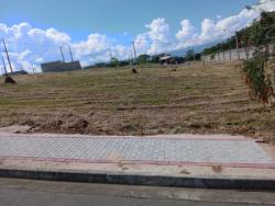 #TE3258_PAI - Terreno para Venda em Pindamonhangaba - SP - 1