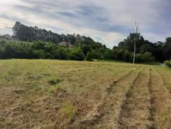 #TE3259_PAI - Terreno para Venda em Pindamonhangaba - SP - 1
