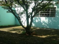 #CA1187_PAL - Casa para Venda em Roseira - SP - 3