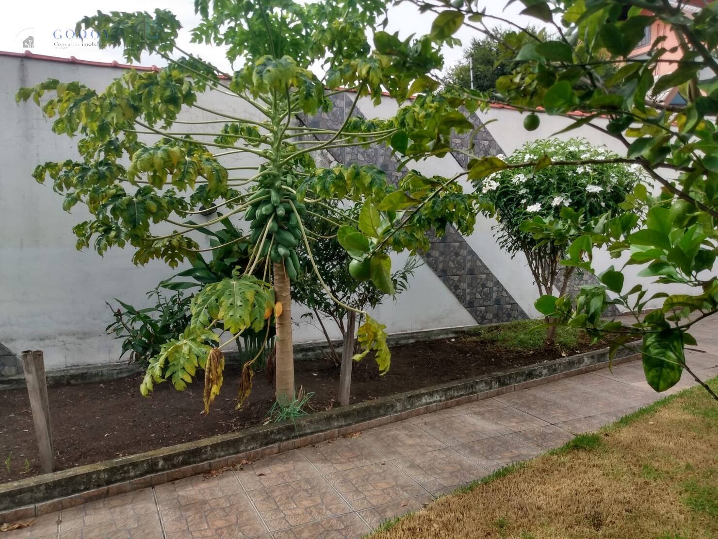 Casa, 3 quartos, 312 m² - Foto 26