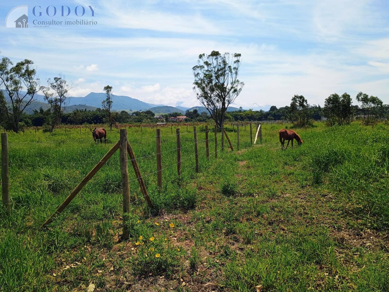 Terreno, 3000 m² - Foto 2