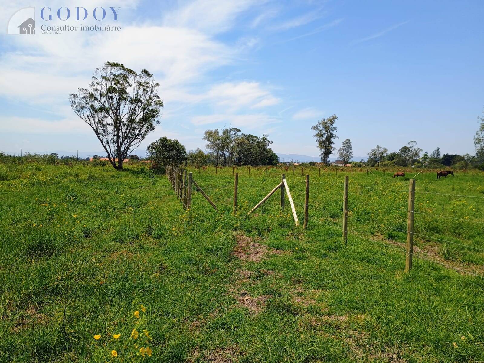 Terreno, 3000 m² - Foto 4