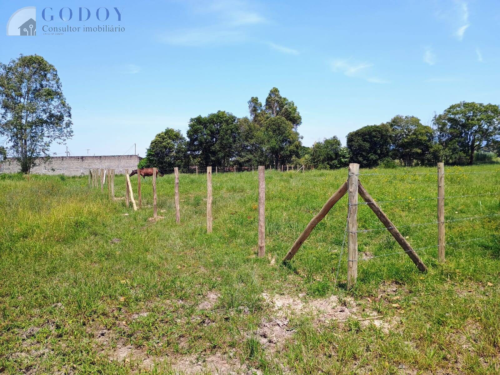 Terreno, 3000 m² - Foto 5