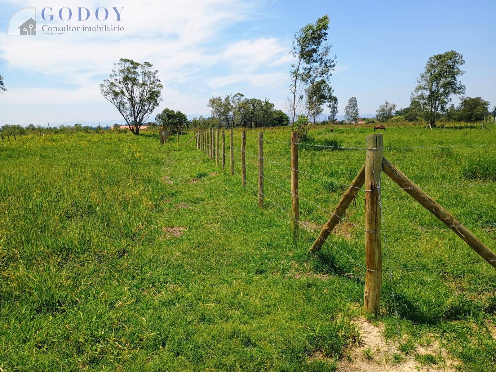 Terreno, 3000 m² - Foto 6