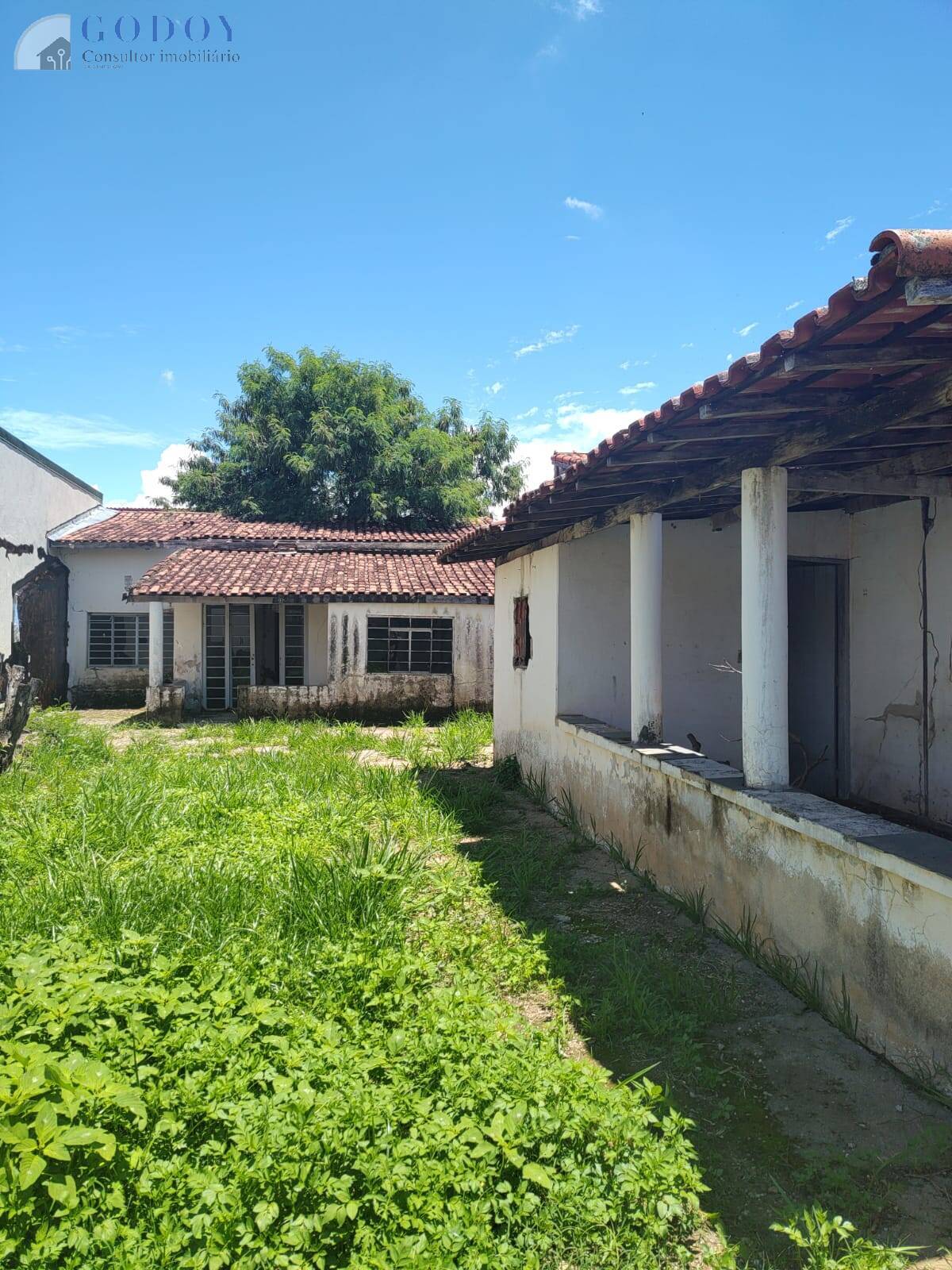 Terreno, 250 m² - Foto 4