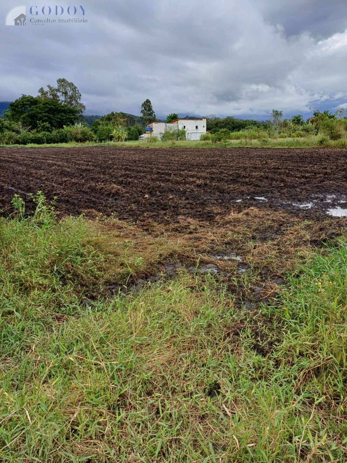 Terreno à venda, 5000m² - Foto 1