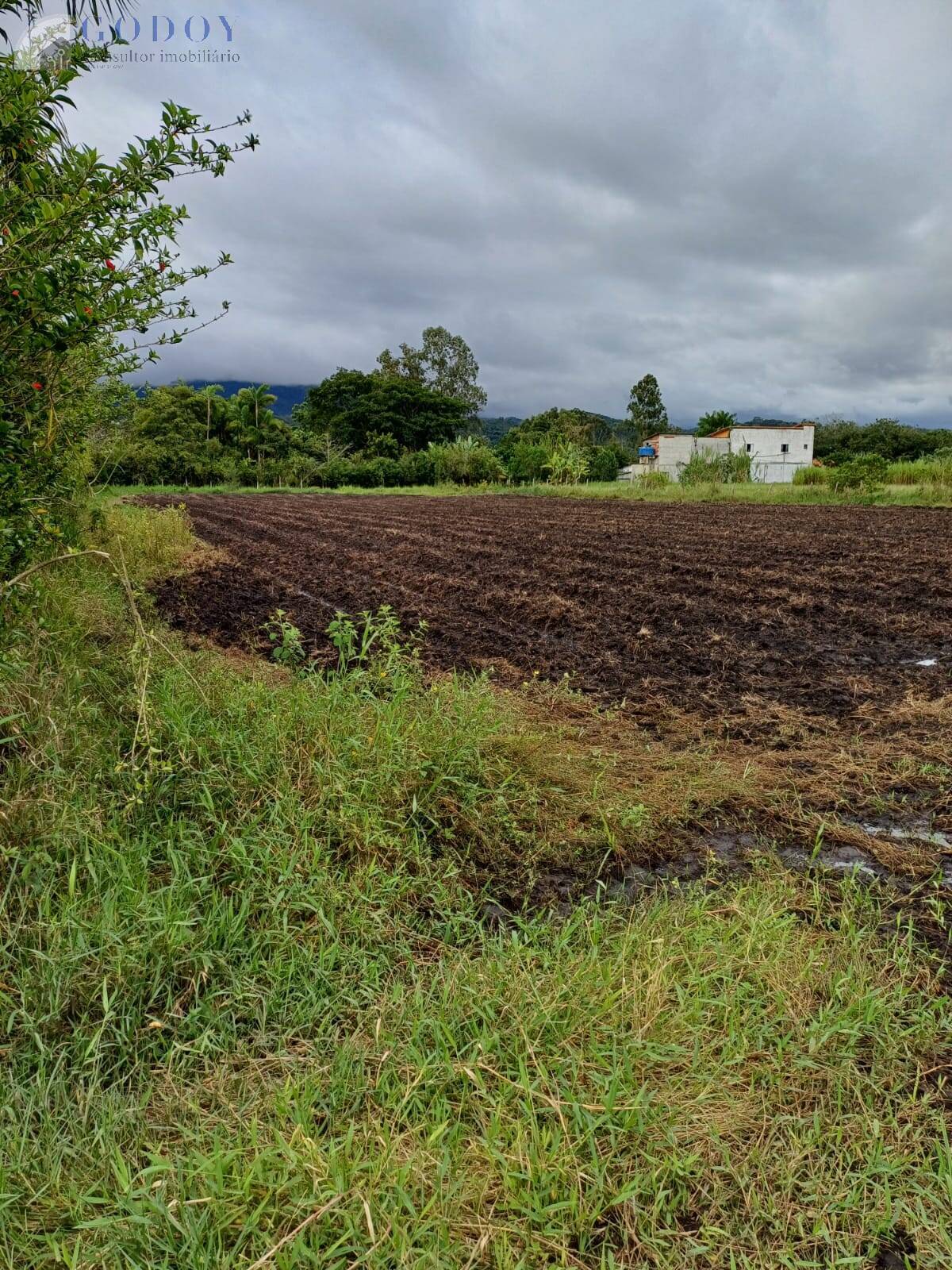 Terreno à venda, 5000m² - Foto 3