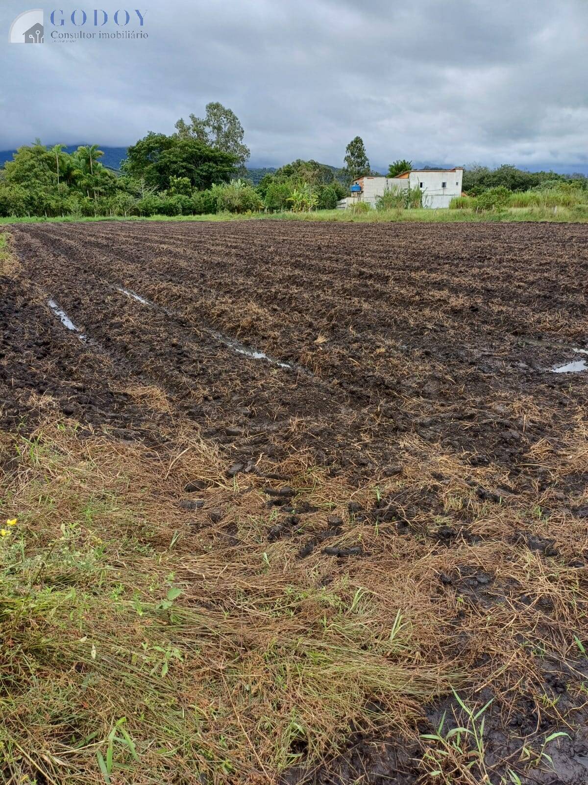 Terreno à venda, 5000m² - Foto 4