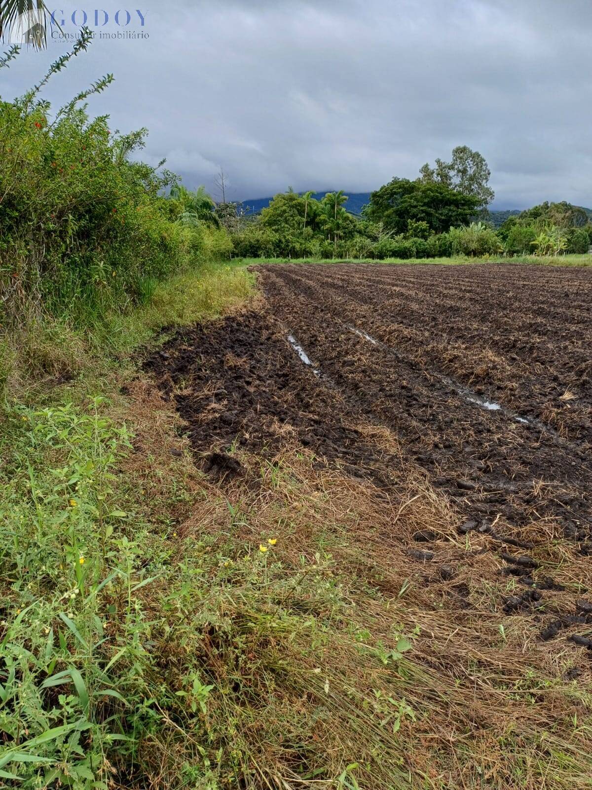 Terreno à venda, 5000m² - Foto 7