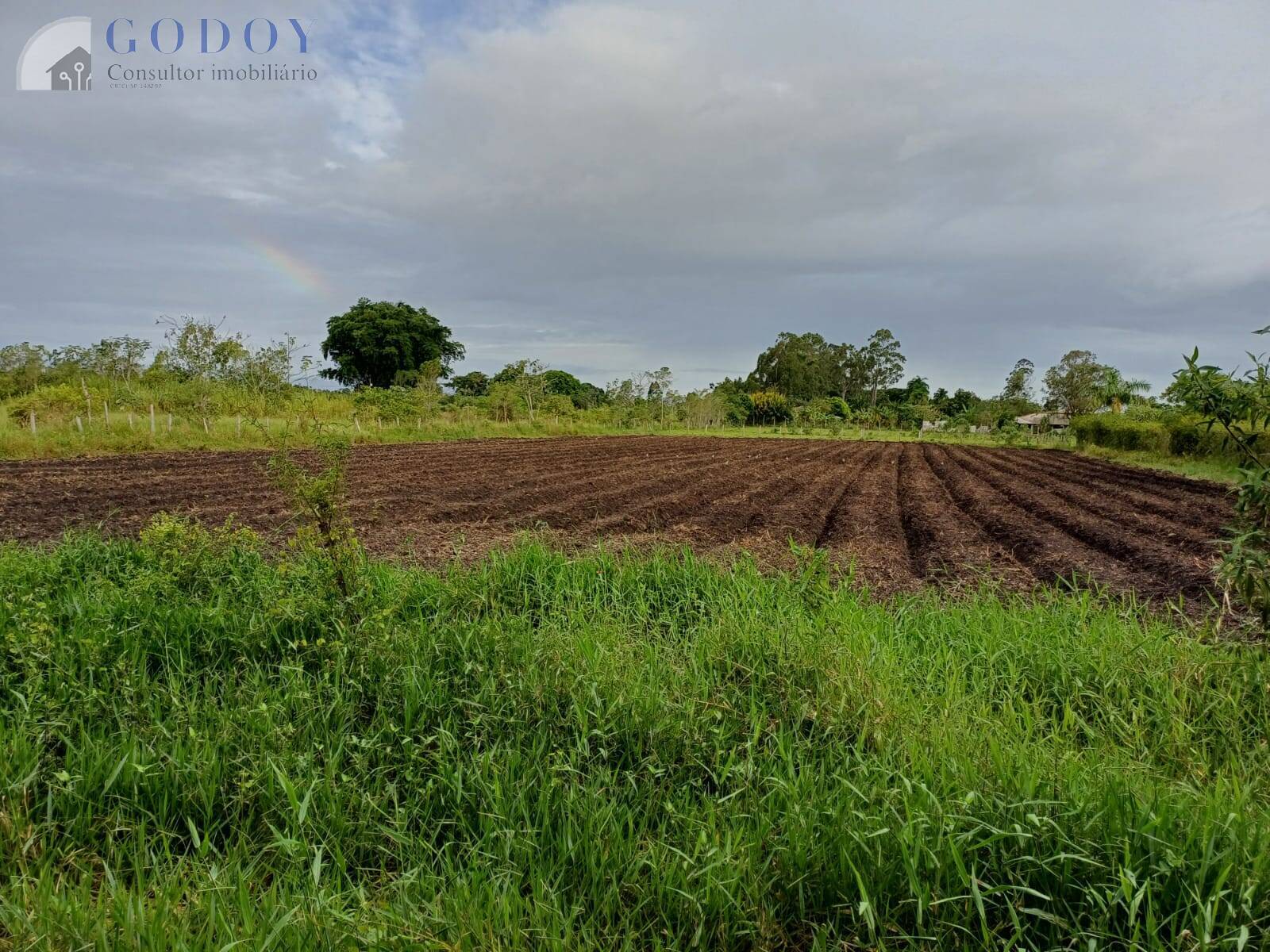 Terreno à venda, 5000m² - Foto 6