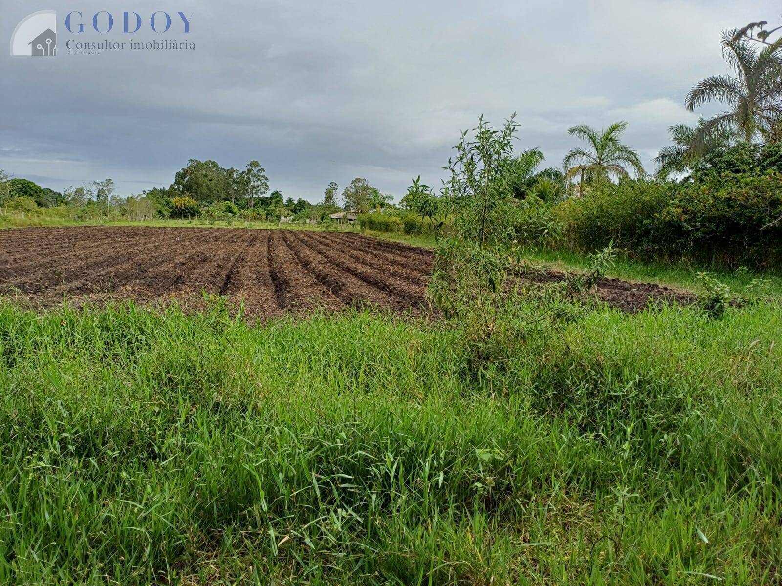 Terreno à venda, 5000m² - Foto 8