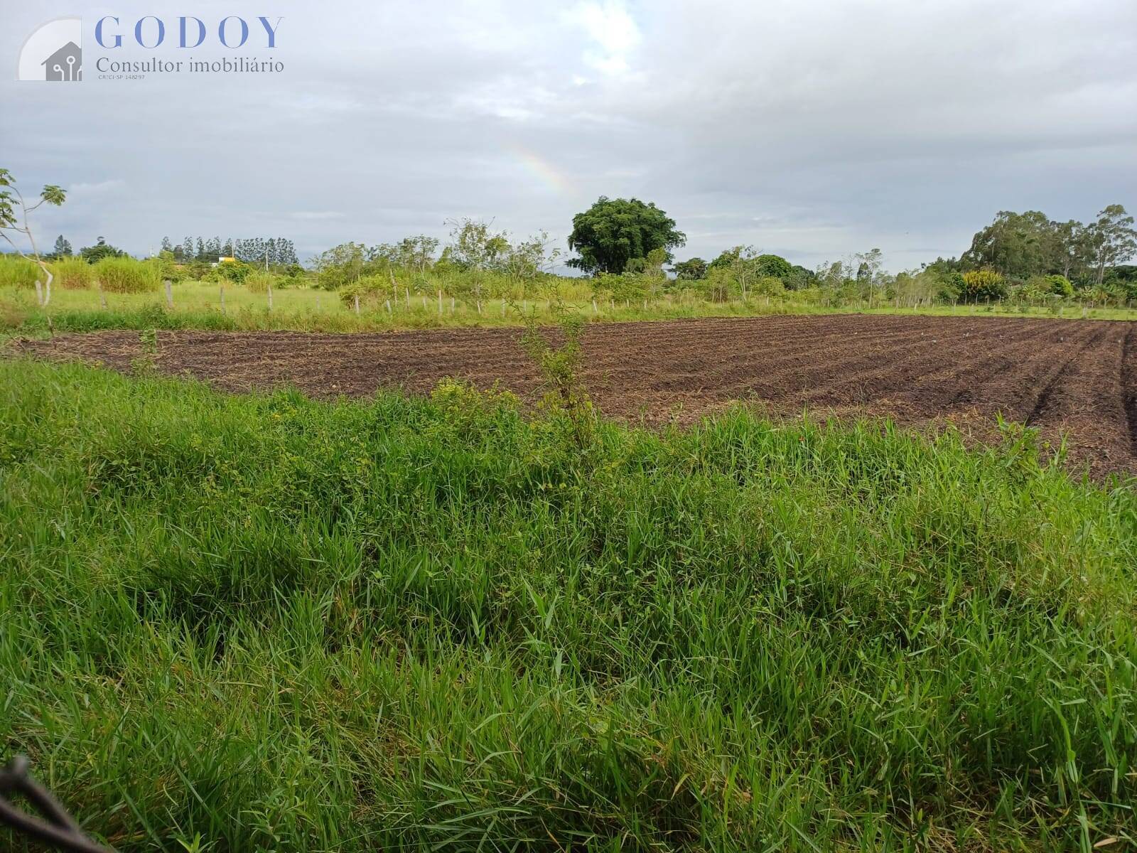 Terreno à venda, 5000m² - Foto 9
