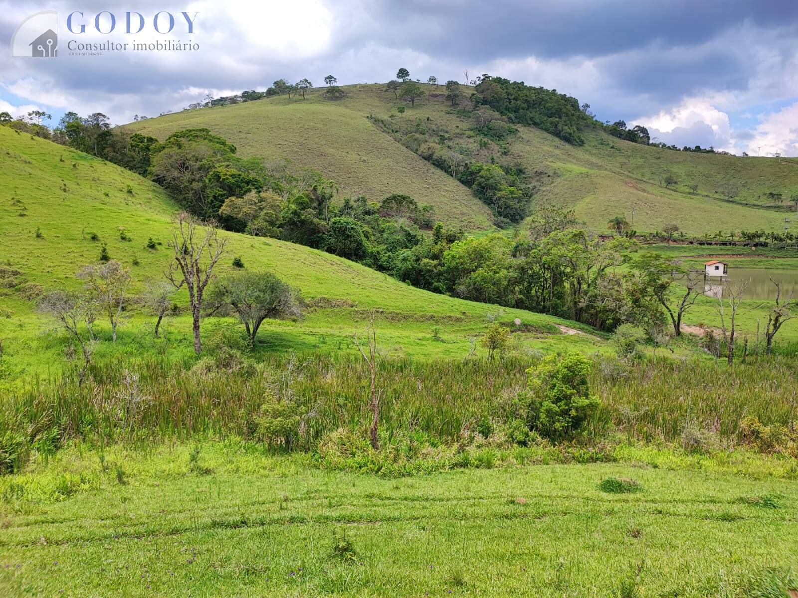 Terreno, 5 hectares - Foto 3