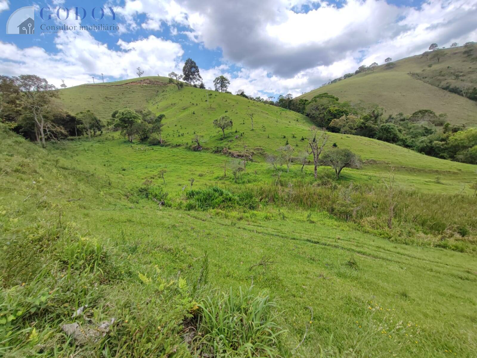 Terreno, 5 hectares - Foto 5