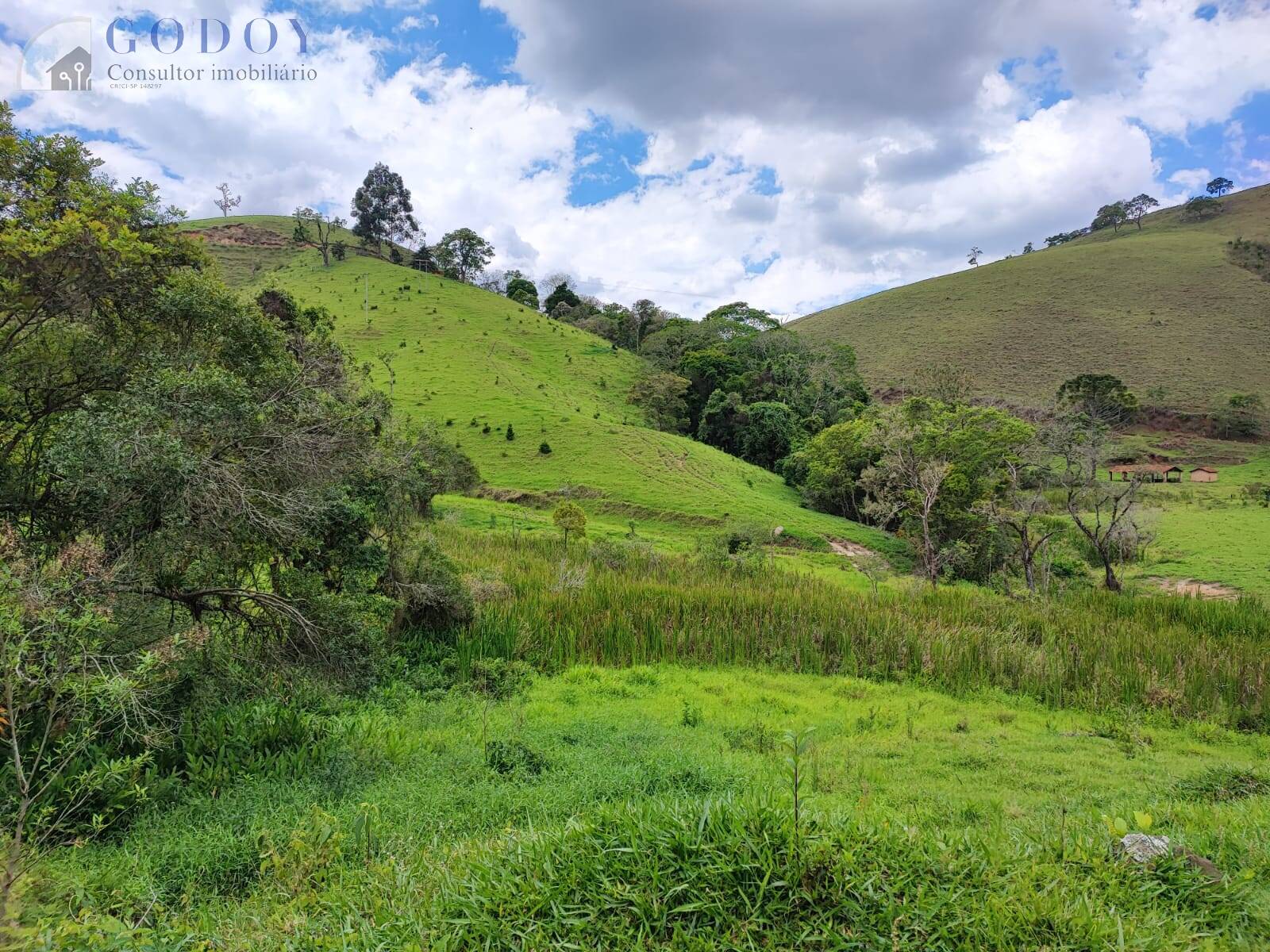 Terreno, 5 hectares - Foto 6