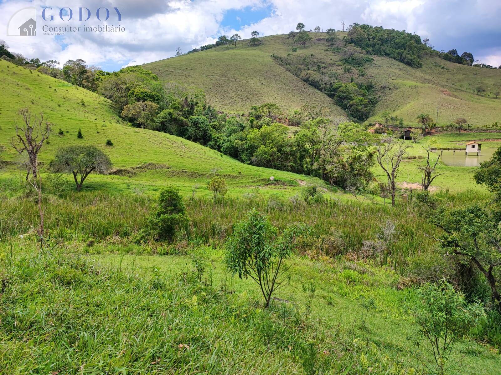 Terreno, 5 hectares - Foto 7