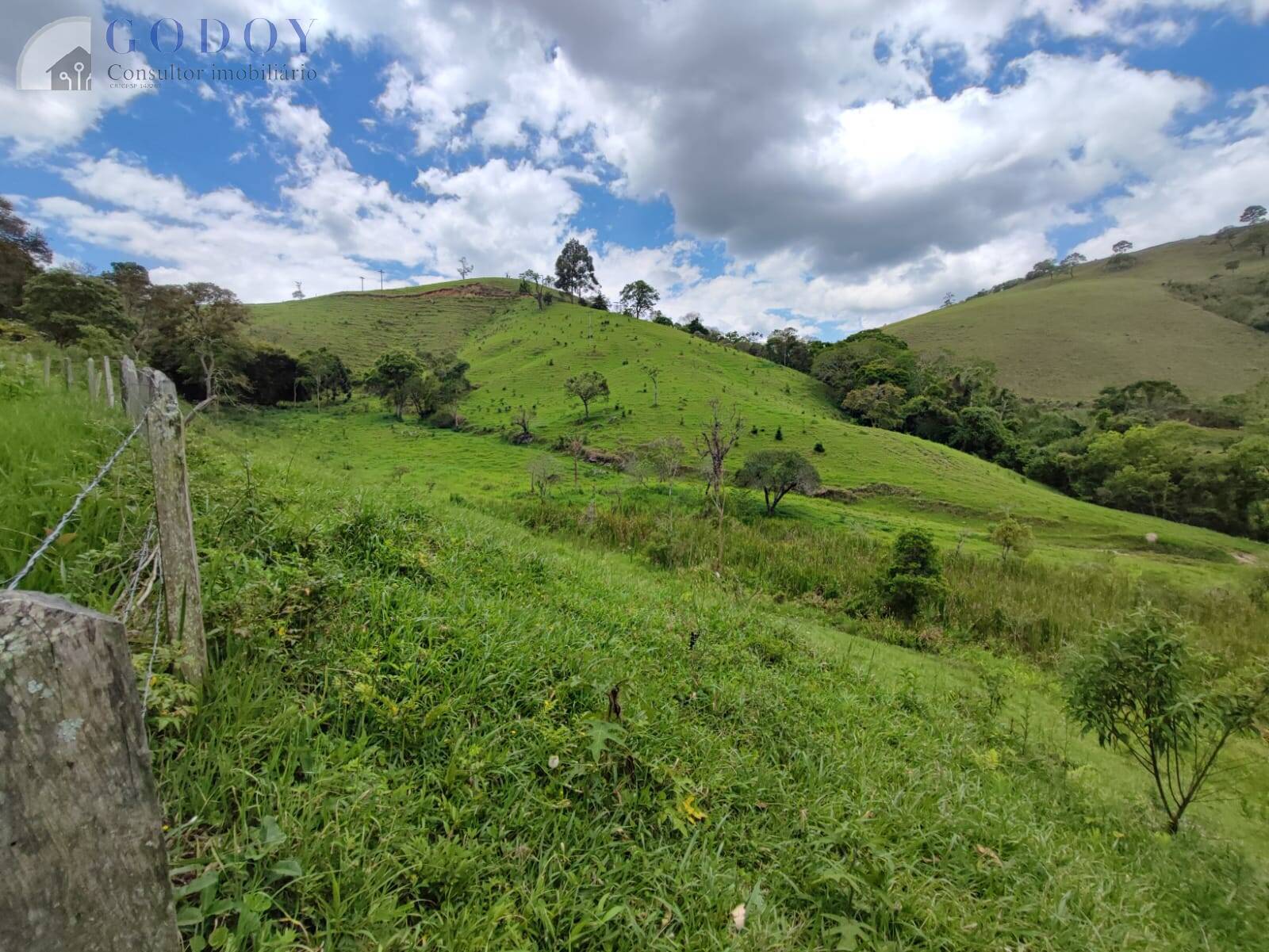 Terreno, 5 hectares - Foto 9