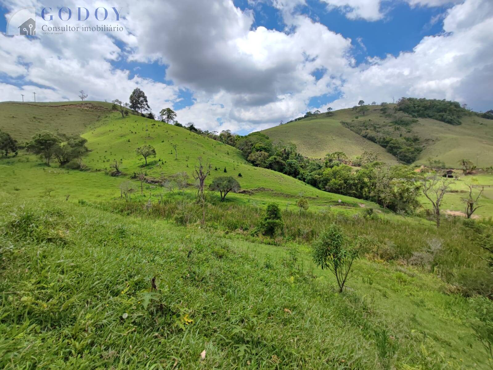 Terreno, 5 hectares - Foto 8