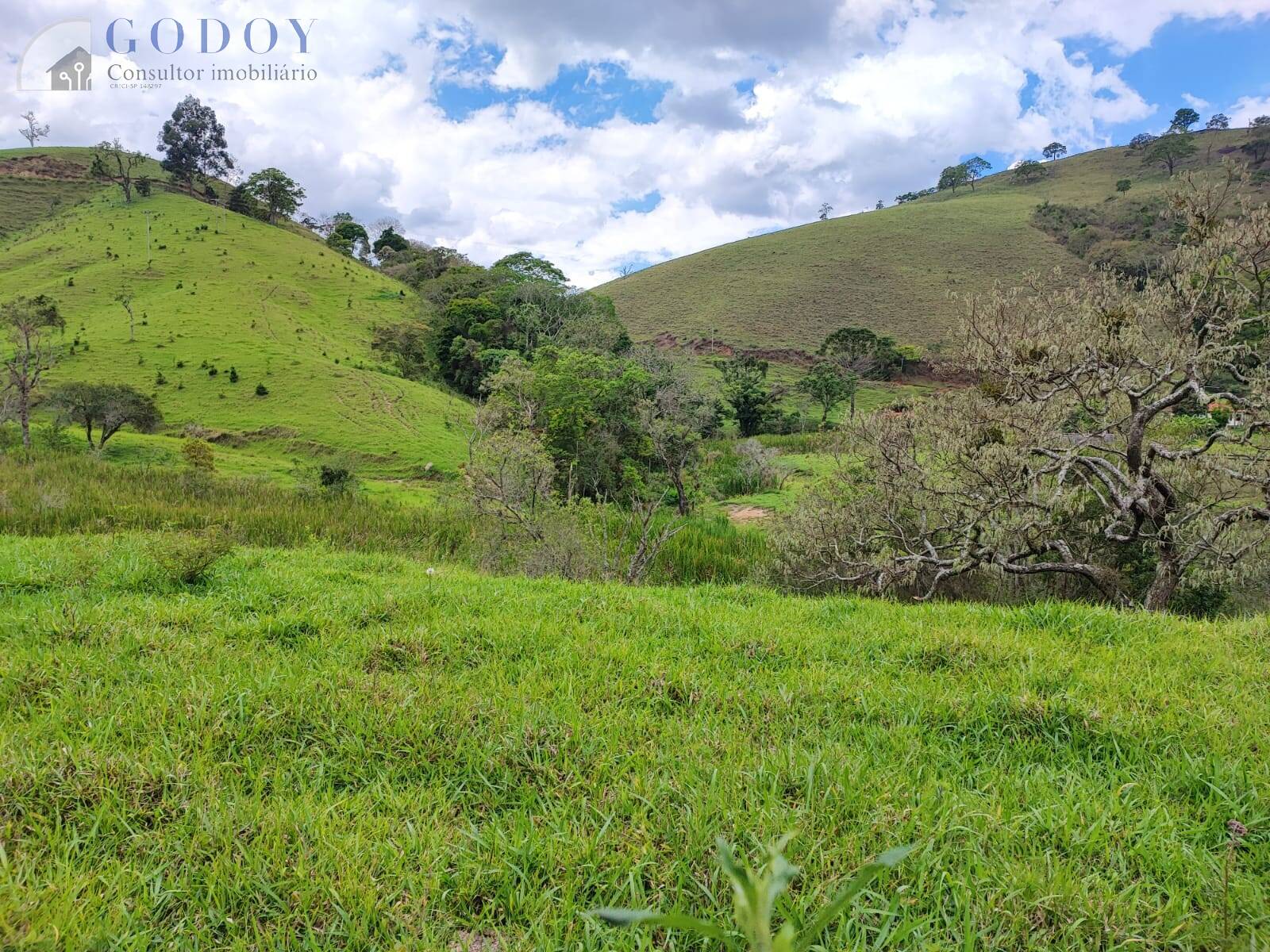 Terreno, 5 hectares - Foto 10