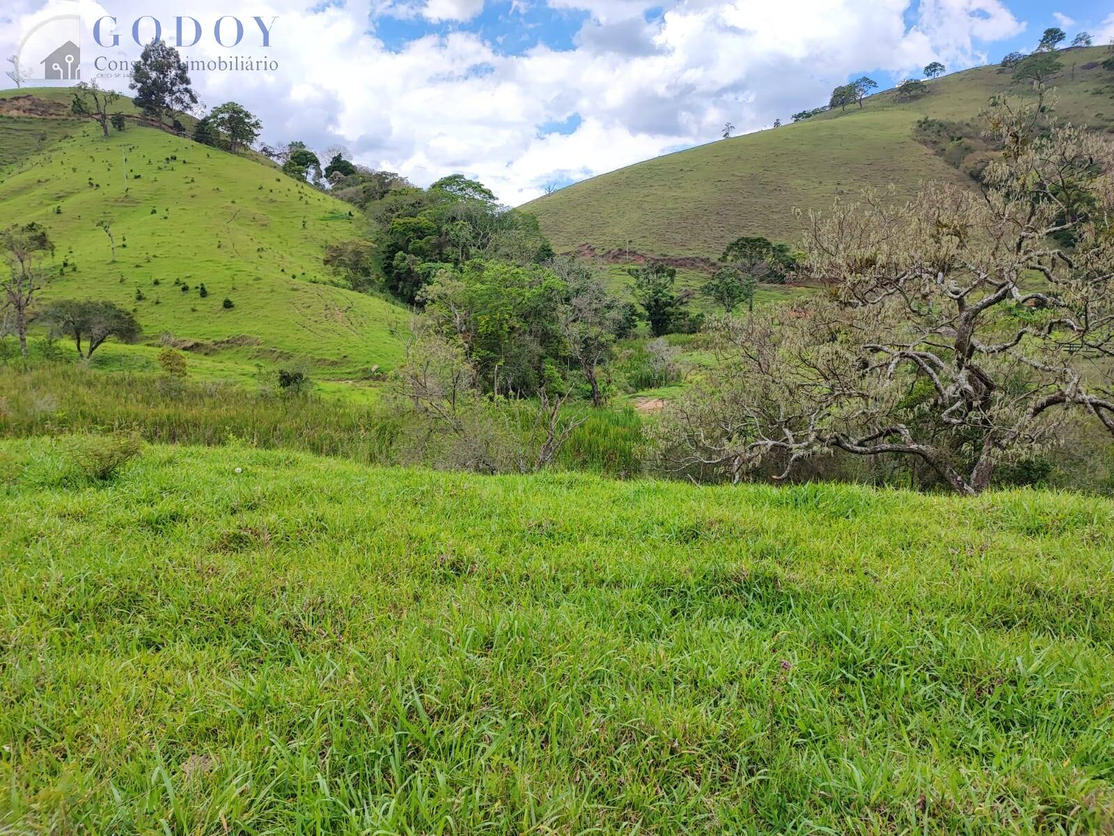 Terreno, 5 hectares - Foto 11