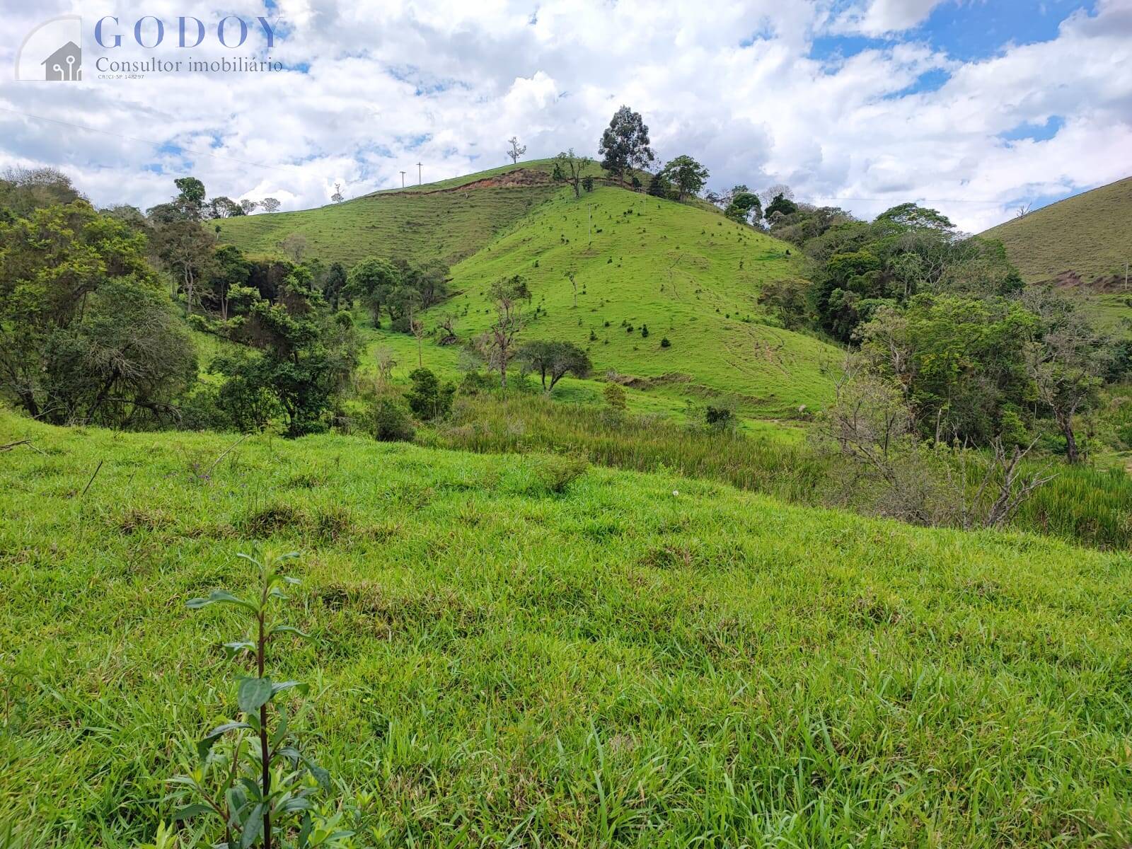 Terreno, 5 hectares - Foto 12