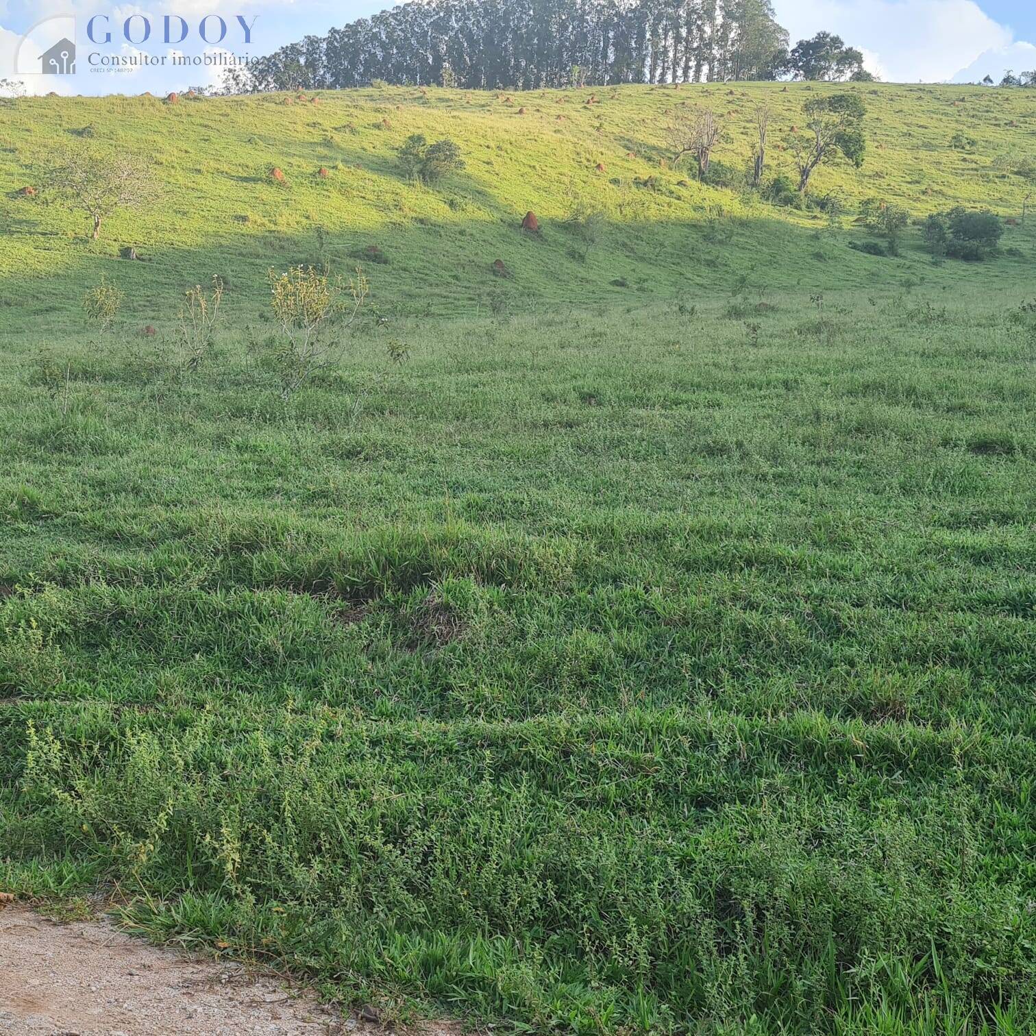 Terreno, 6 hectares - Foto 9