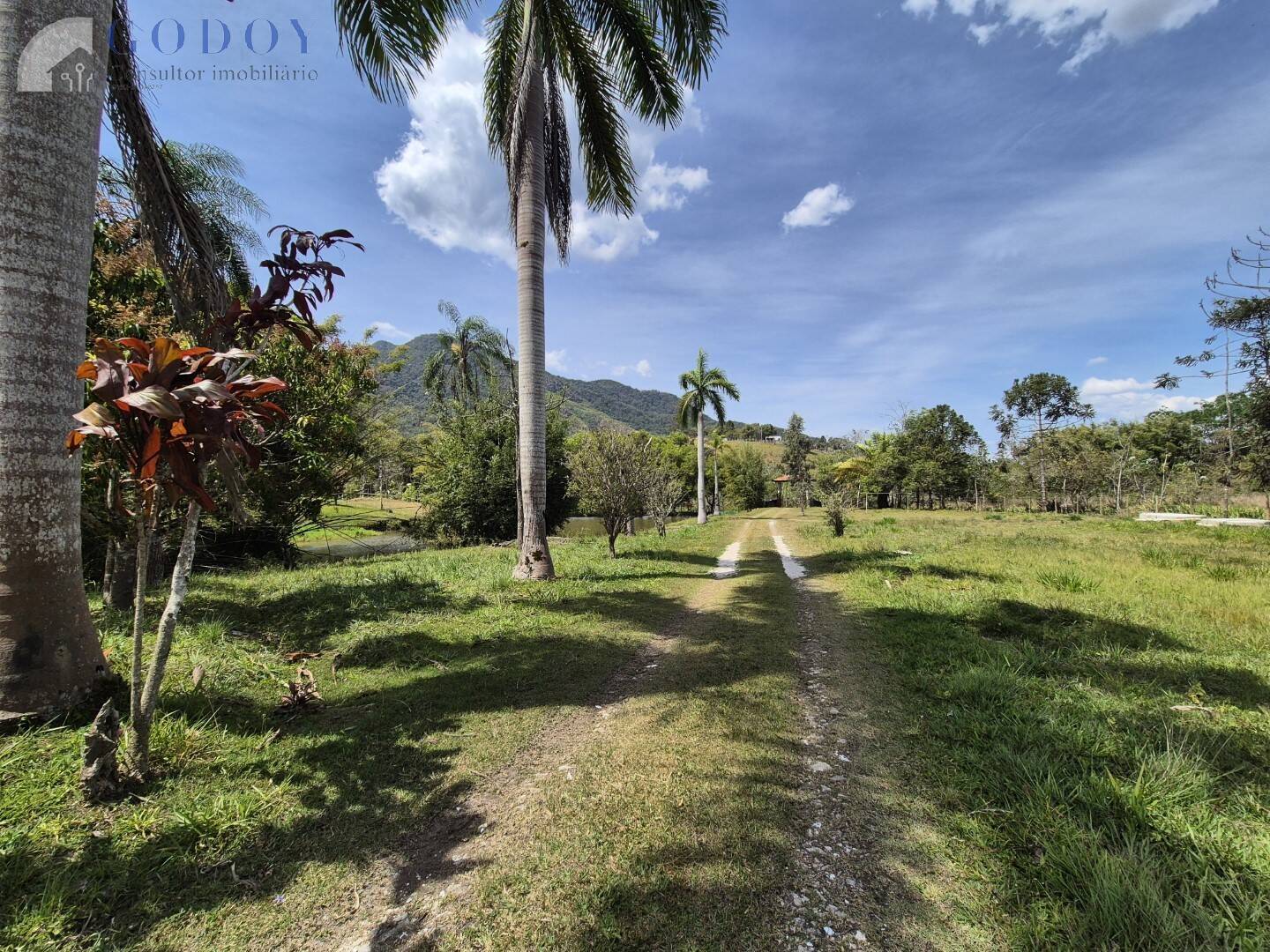 Sítio, 6 quartos, 4 hectares - Foto 56