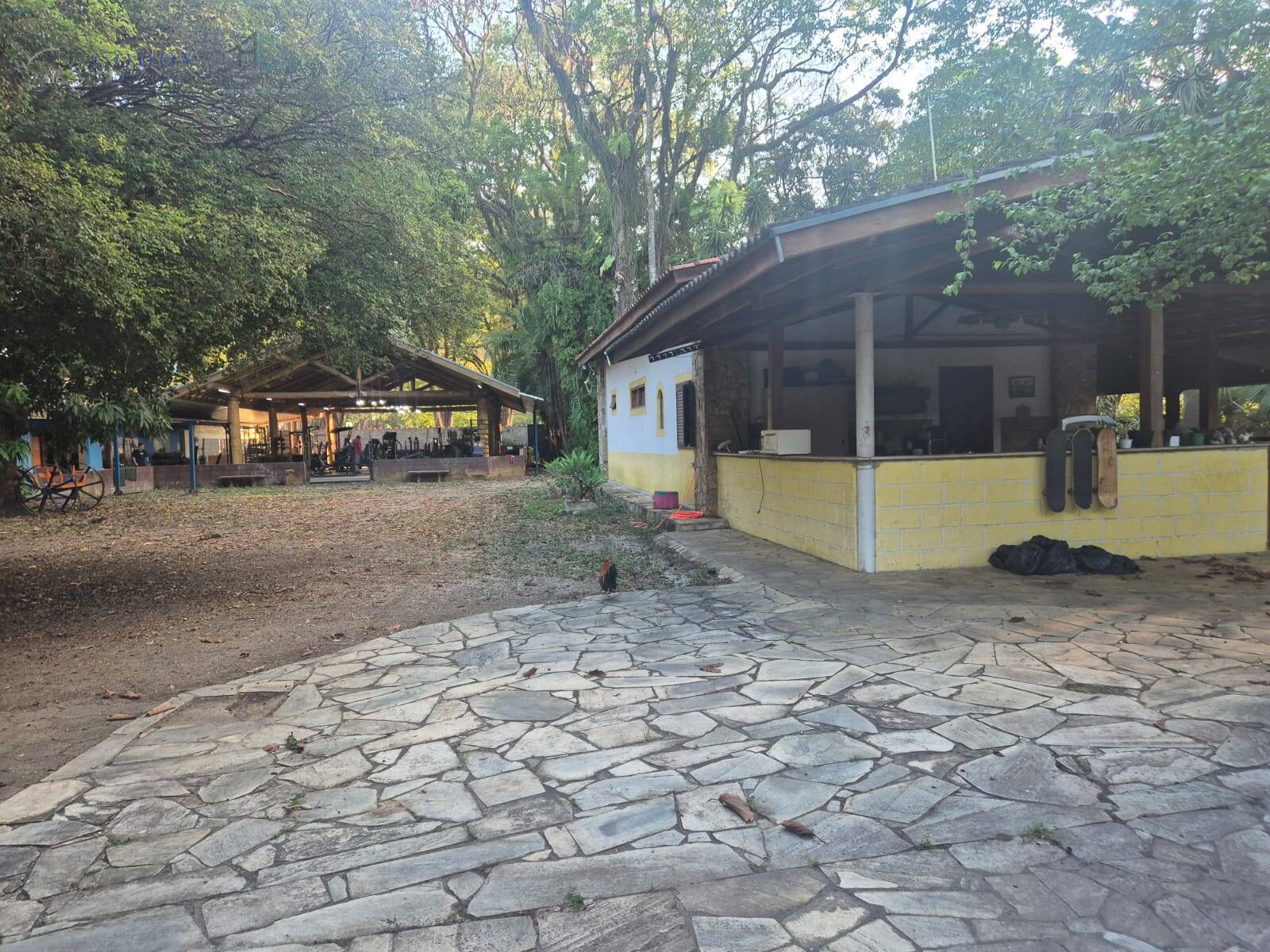 Terreno, 1 hectares - Foto 9