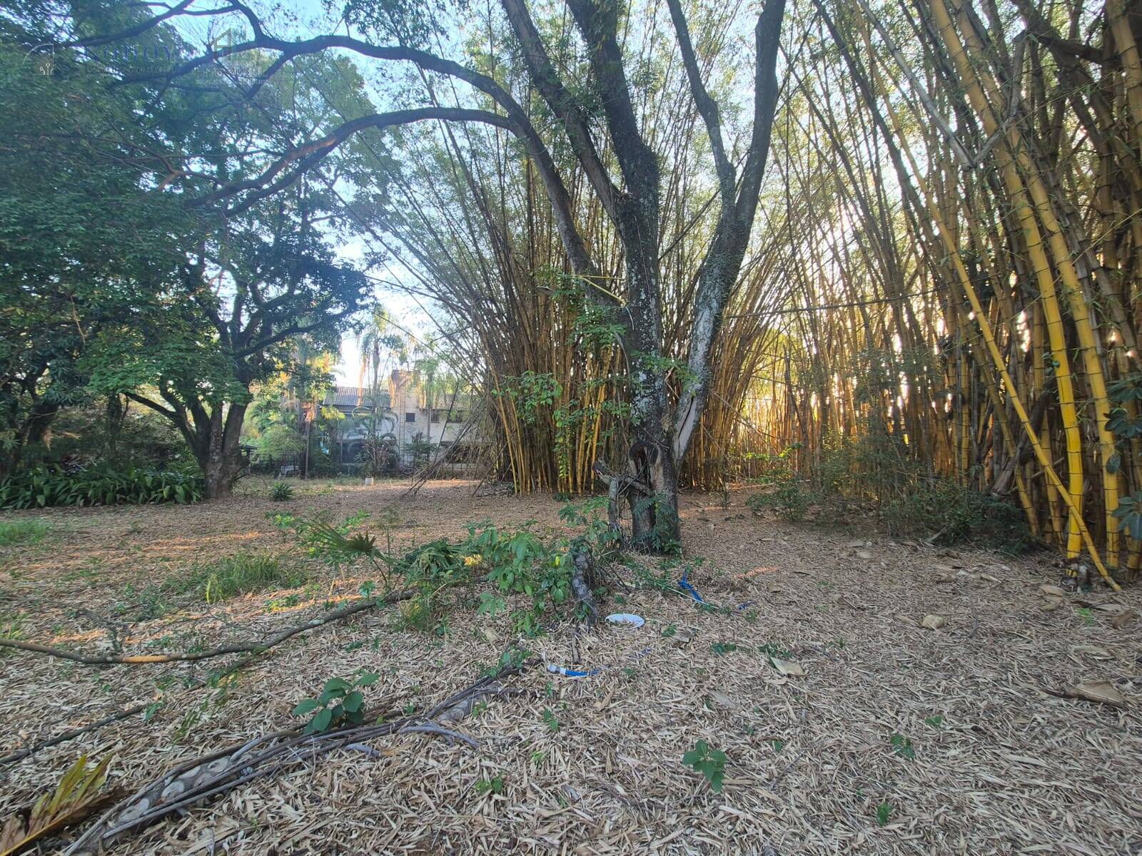 Terreno, 1 hectares - Foto 11