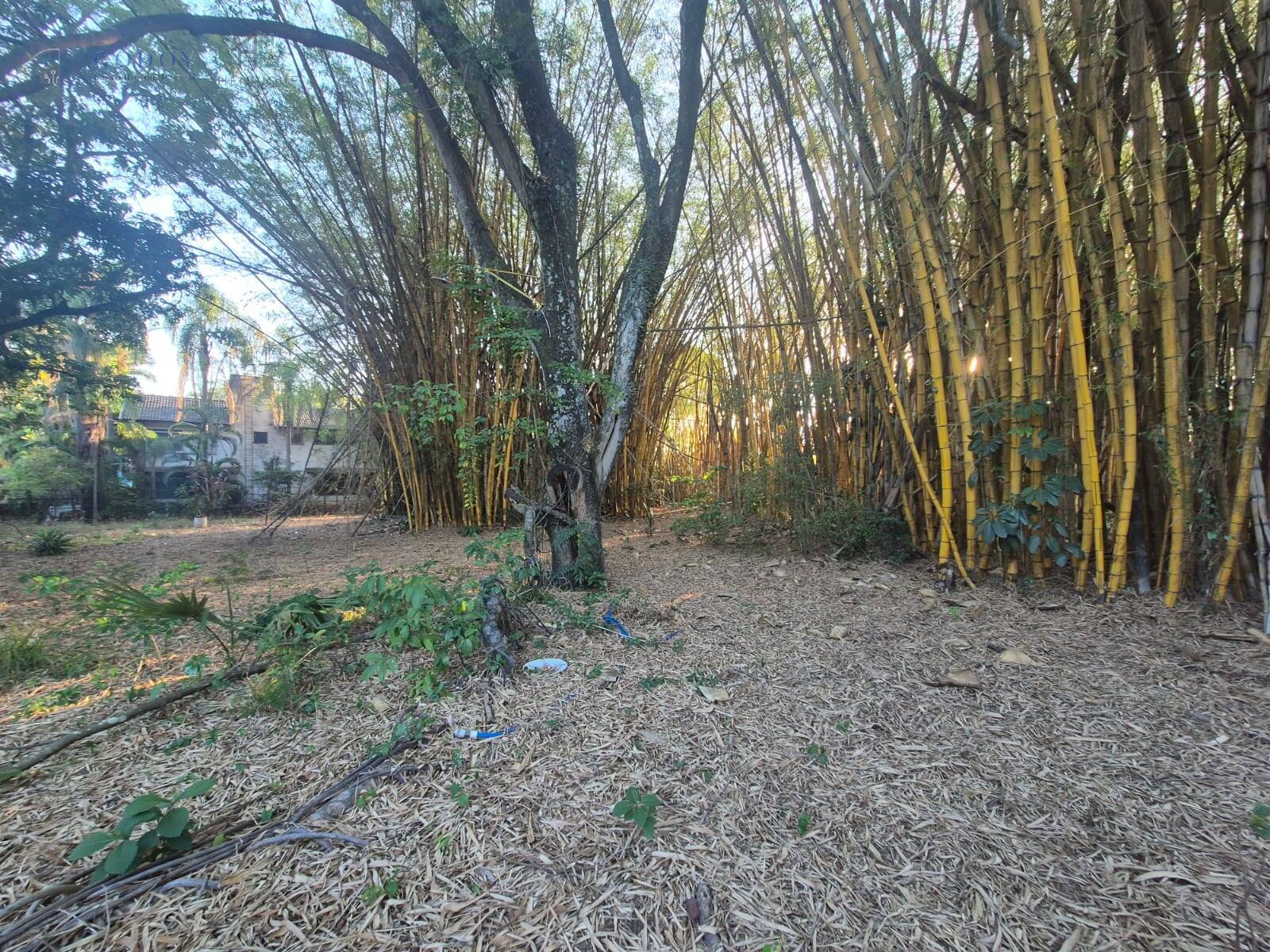 Terreno, 1 hectares - Foto 12