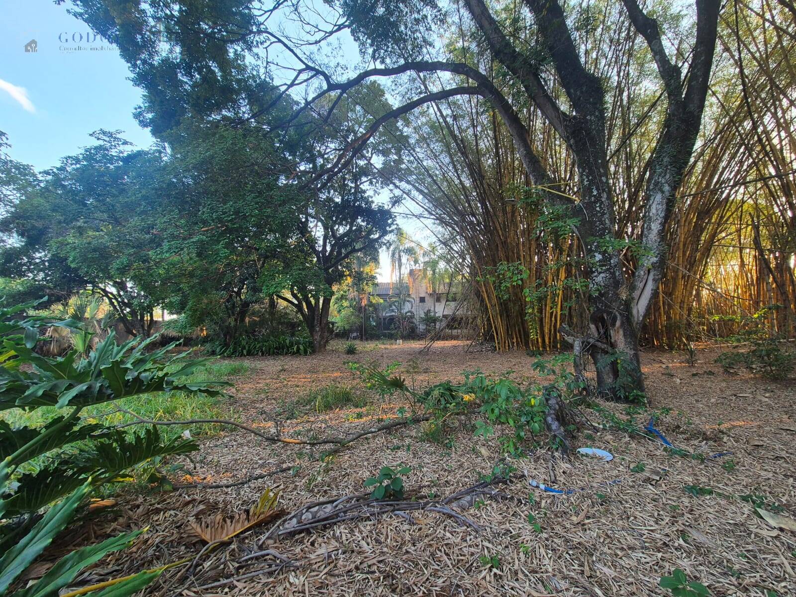 Terreno, 1 hectares - Foto 13