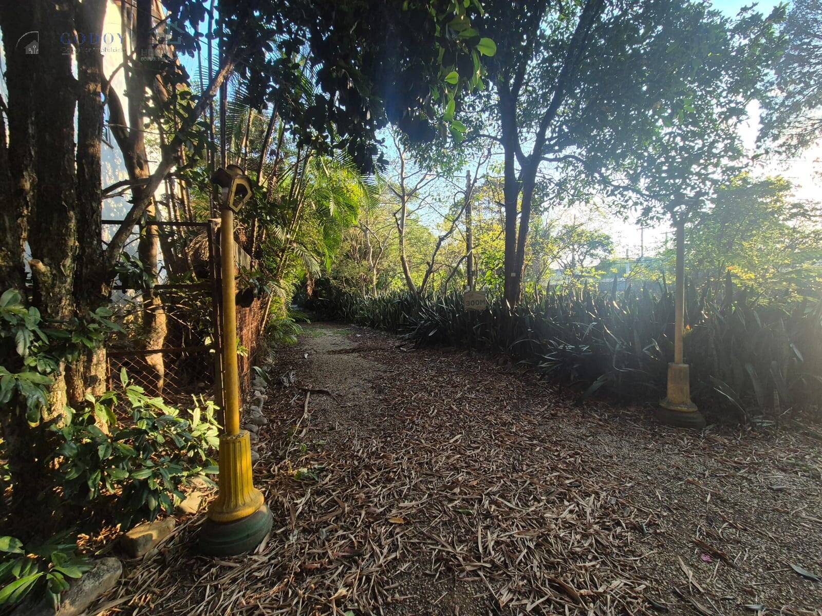 Terreno, 1 hectares - Foto 14