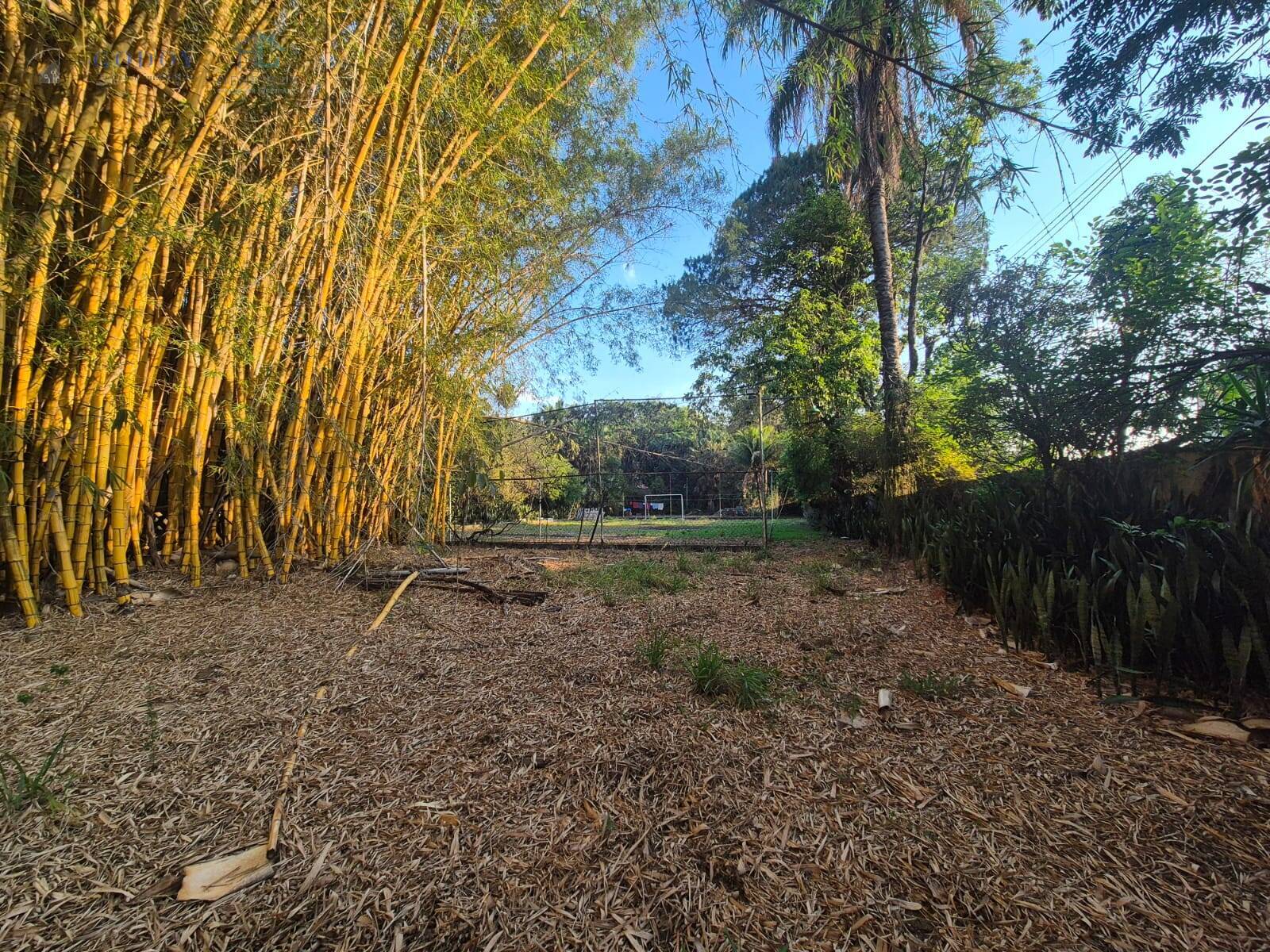 Terreno, 1 hectares - Foto 16