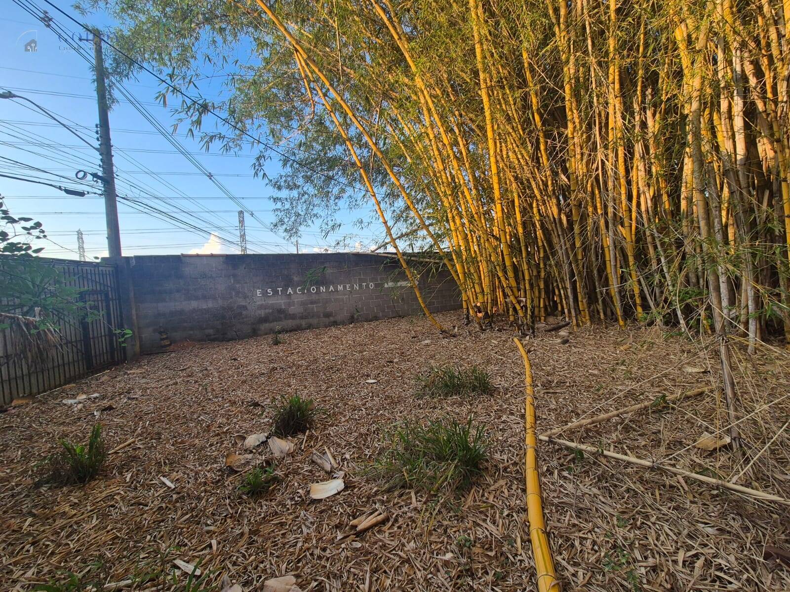 Terreno, 1 hectares - Foto 20