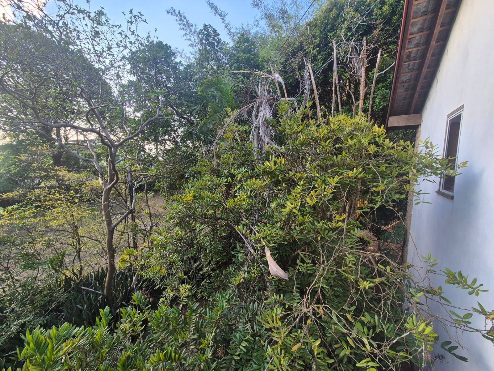 Terreno, 1 hectares - Foto 36