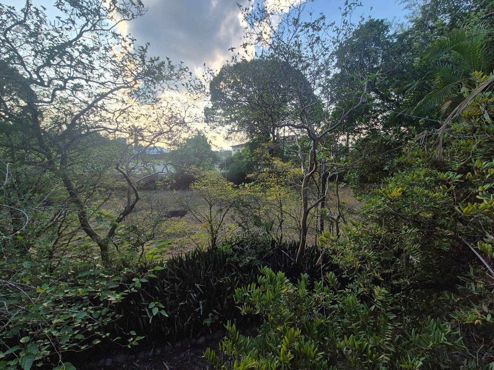 Terreno, 1 hectares - Foto 39