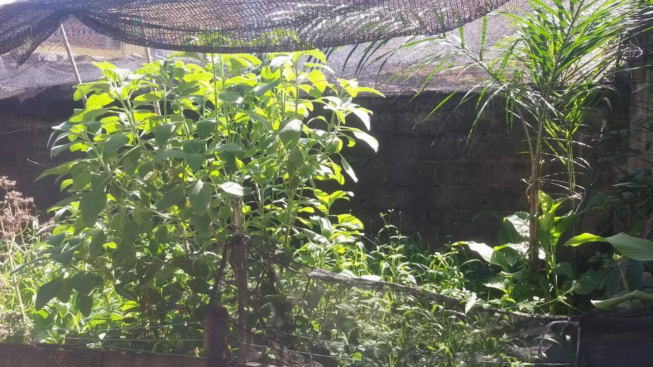 Casa, 2 quartos, 70 m² - Foto 19