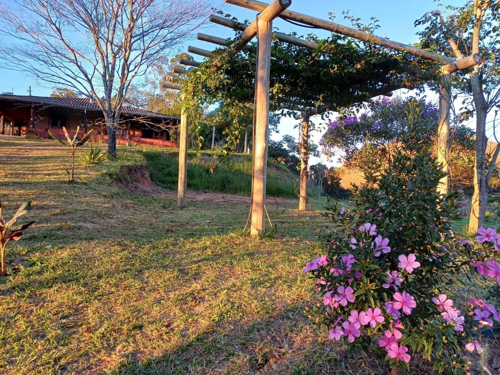 Sítio, 2 quartos, 2 hectares - Foto 6