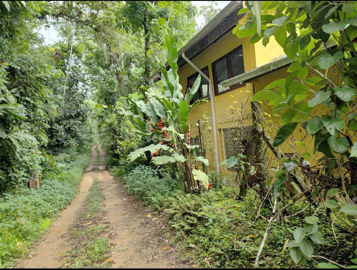 Terreno, 300 m² - Foto 9