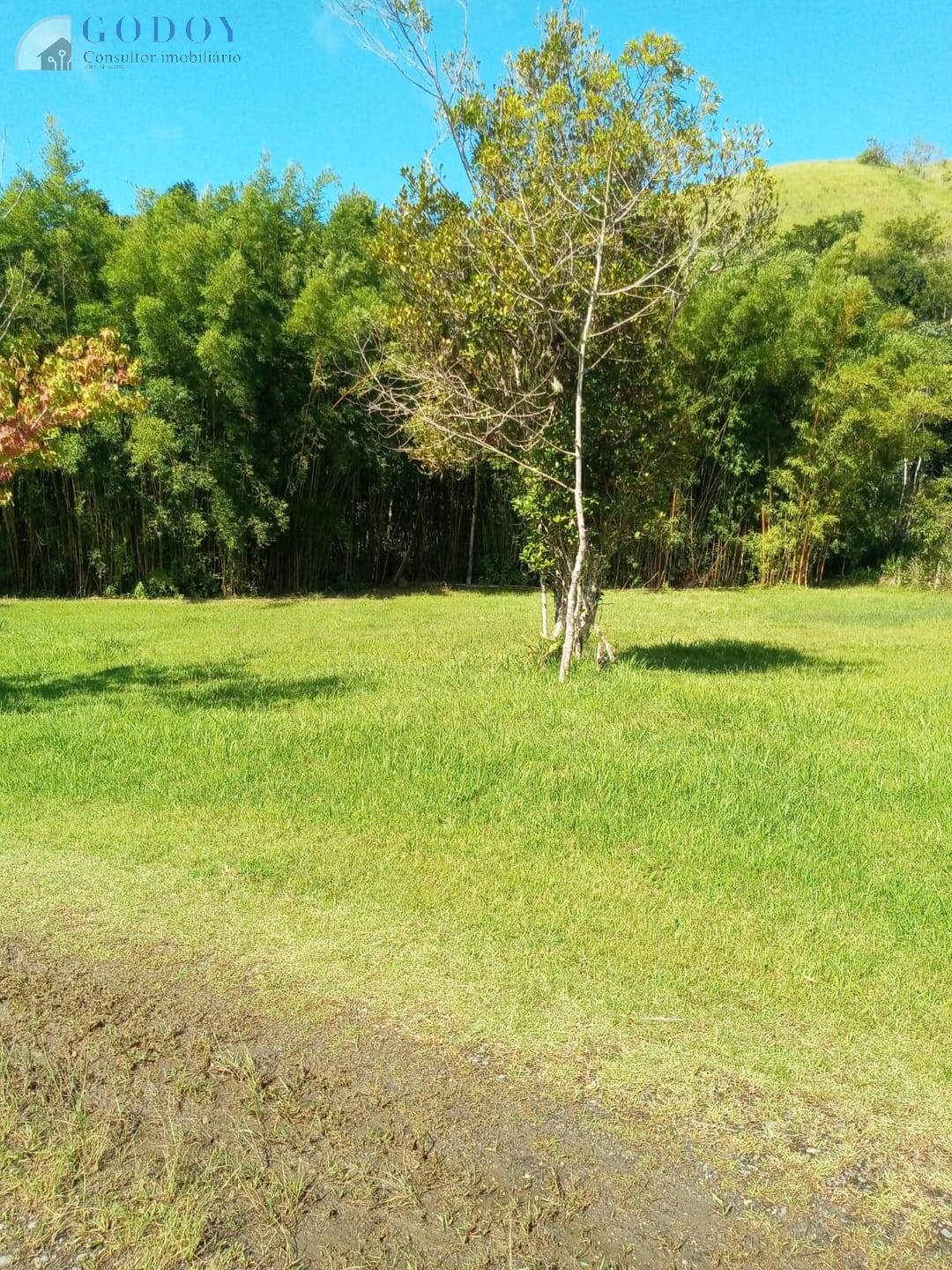 Sítio, 6 quartos, 4 hectares - Foto 21